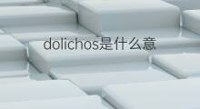 dolichos是什么意思 dolichos的中文翻译、读音、例句