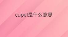 cupel是什么意思 cupel的中文翻译、读音、例句