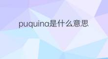 puquina是什么意思 puquina的中文翻译、读音、例句