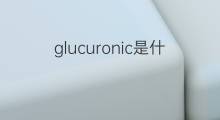glucuronic是什么意思 glucuronic的中文翻译、读音、例句