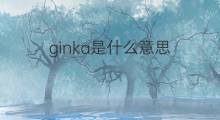 ginka是什么意思 ginka的中文翻译、读音、例句