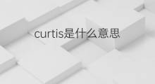 curtis是什么意思 curtis的中文翻译、读音、例句