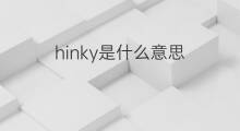 hinky是什么意思 hinky的中文翻译、读音、例句