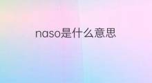 naso是什么意思 naso的中文翻译、读音、例句