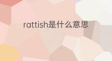 rattish是什么意思 rattish的中文翻译、读音、例句