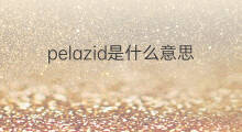 pelazid是什么意思 pelazid的中文翻译、读音、例句