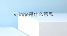 viiiage是什么意思 viiiage的中文翻译、读音、例句