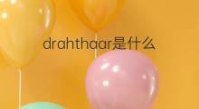 drahthaar是什么意思 drahthaar的中文翻译、读音、例句
