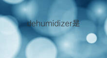 dehumidizer是什么意思 dehumidizer的翻译、读音、例句、中文解释