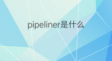 pipeliner是什么意思 pipeliner的中文翻译、读音、例句