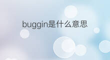 buggin是什么意思 buggin的中文翻译、读音、例句