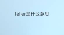 feiler是什么意思 英文名feiler的翻译、发音、来源