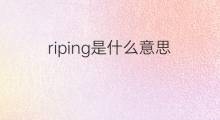 riping是什么意思 riping的中文翻译、读音、例句