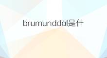 brumunddal是什么意思 brumunddal的中文翻译、读音、例句