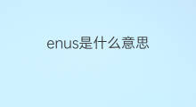 enus是什么意思 enus的中文翻译、读音、例句