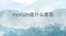 marium是什么意思 marium的中文翻译、读音、例句