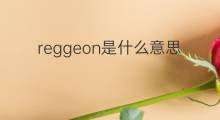 reggeon是什么意思 reggeon的中文翻译、读音、例句
