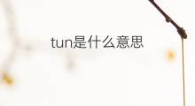 tun是什么意思 tun的中文翻译、读音、例句