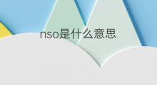 nso是什么意思 nso的中文翻译、读音、例句