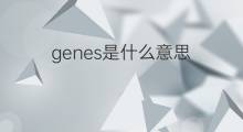 genes是什么意思 genes的中文翻译、读音、例句