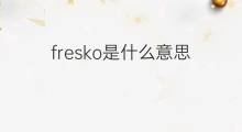 fresko是什么意思 fresko的中文翻译、读音、例句