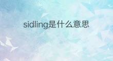 sidling是什么意思 sidling的中文翻译、读音、例句