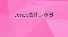 coney是什么意思 coney的中文翻译、读音、例句