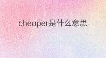 cheaper是什么意思 cheaper的中文翻译、读音、例句