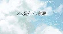 vtv是什么意思 vtv的中文翻译、读音、例句