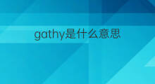 gathy是什么意思 gathy的中文翻译、读音、例句