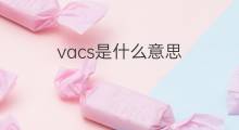 vacs是什么意思 vacs的中文翻译、读音、例句