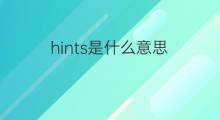 hints是什么意思 hints的中文翻译、读音、例句