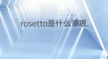 rosetta是什么意思 rosetta的中文翻译、读音、例句