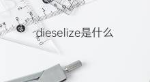 dieselize是什么意思 dieselize的中文翻译、读音、例句