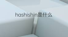 hashishin是什么意思 hashishin的中文翻译、读音、例句