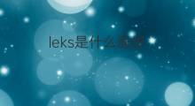 leks是什么意思 leks的翻译、读音、例句、中文解释