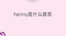 henny是什么意思 henny的中文翻译、读音、例句