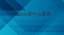 usable是什么意思 usable的中文翻译、读音、例句