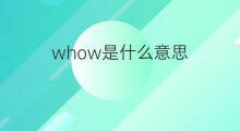 whow是什么意思 whow的中文翻译、读音、例句