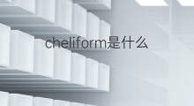 cheliform是什么意思 cheliform的中文翻译、读音、例句