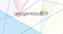anagenesis是什么意思 anagenesis的中文翻译、读音、例句