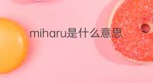 miharu是什么意思 miharu的中文翻译、读音、例句