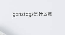 ganztags是什么意思 ganztags的中文翻译、读音、例句