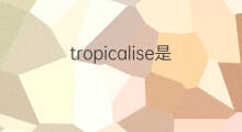 tropicalise是什么意思 tropicalise的中文翻译、读音、例句