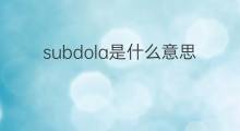 subdola是什么意思 subdola的中文翻译、读音、例句