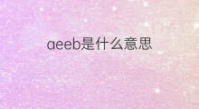 aeeb是什么意思 aeeb的中文翻译、读音、例句