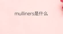 mulliners是什么意思 mulliners的中文翻译、读音、例句