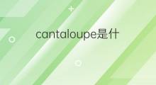 cantaloupe是什么意思 cantaloupe的中文翻译、读音、例句