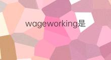 wageworking是什么意思 wageworking的中文翻译、读音、例句