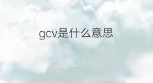 gcv是什么意思 gcv的中文翻译、读音、例句